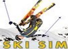 Ski Simulator